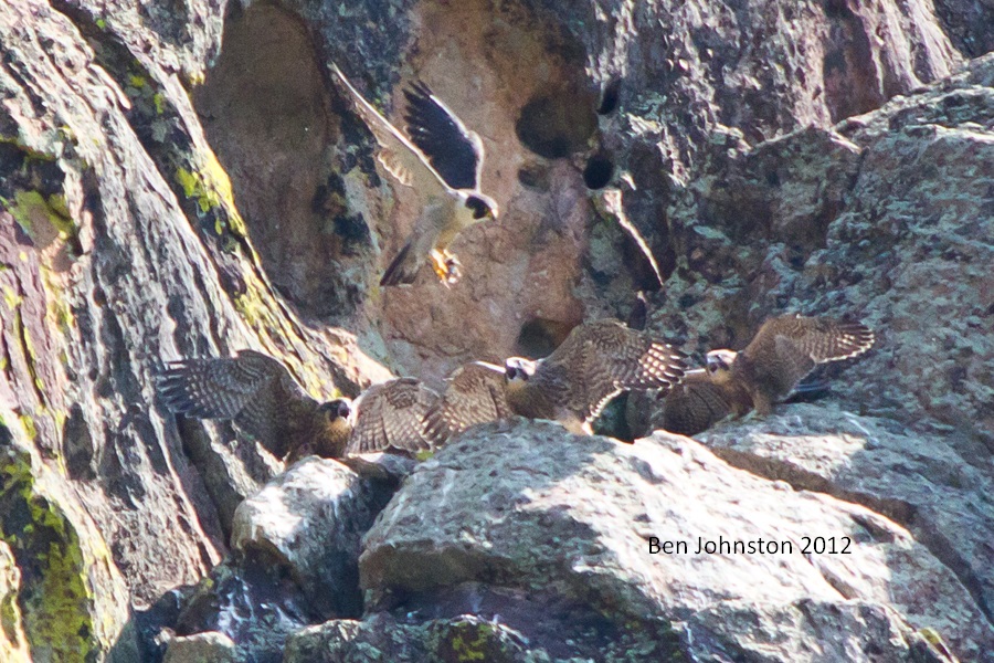 Closures – Flatirons Climbing Council (FCC)